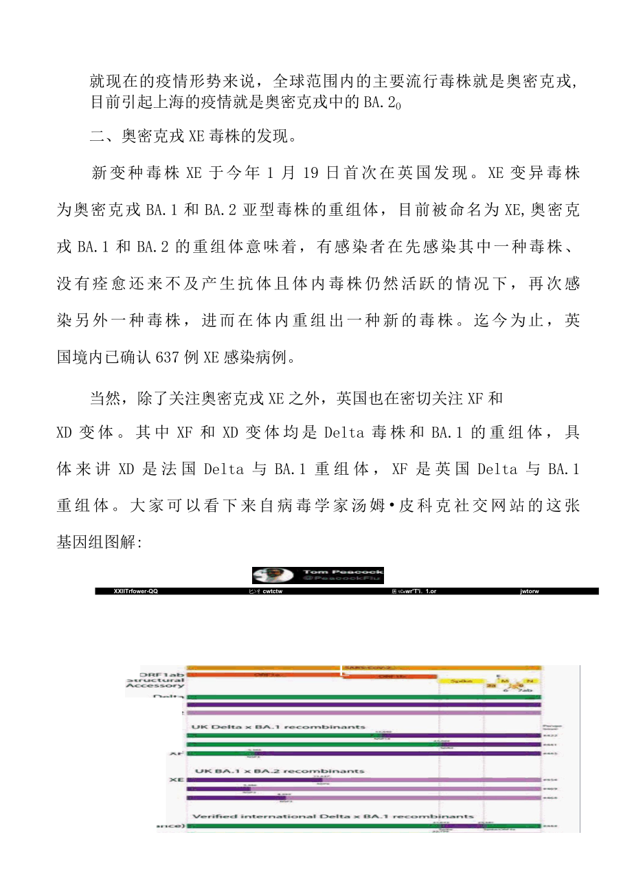 奥密克戎XE毒株知识解读.docx_第3页