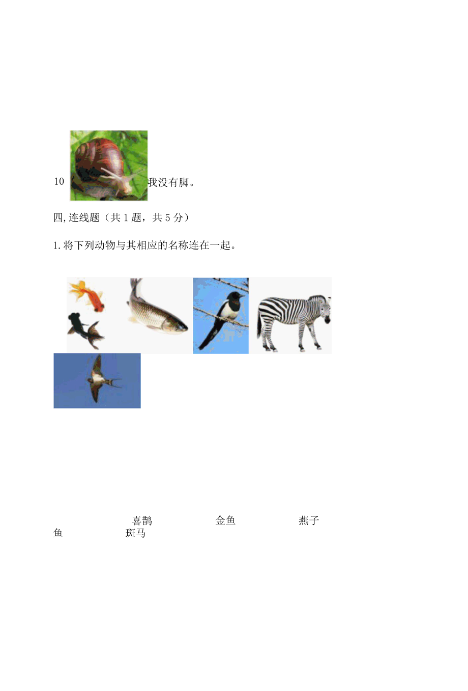 新教科版一年级下册科学期末测试卷附答案完整版001.docx_第3页