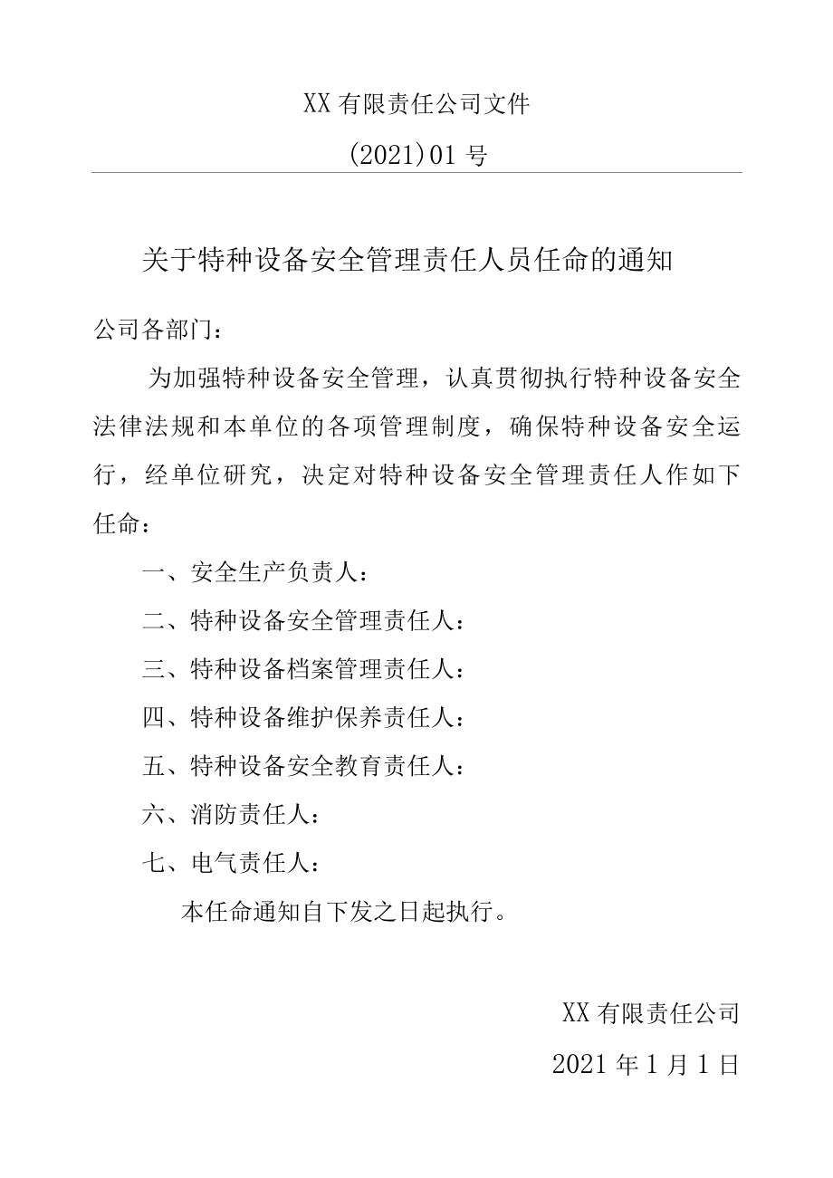 特种设备安全管理责任人员任命文件.docx_第1页