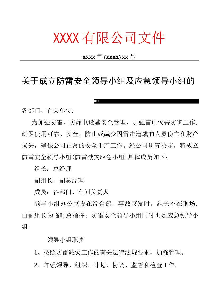 防雷安全领导小组及应急小组成立文件.docx_第1页