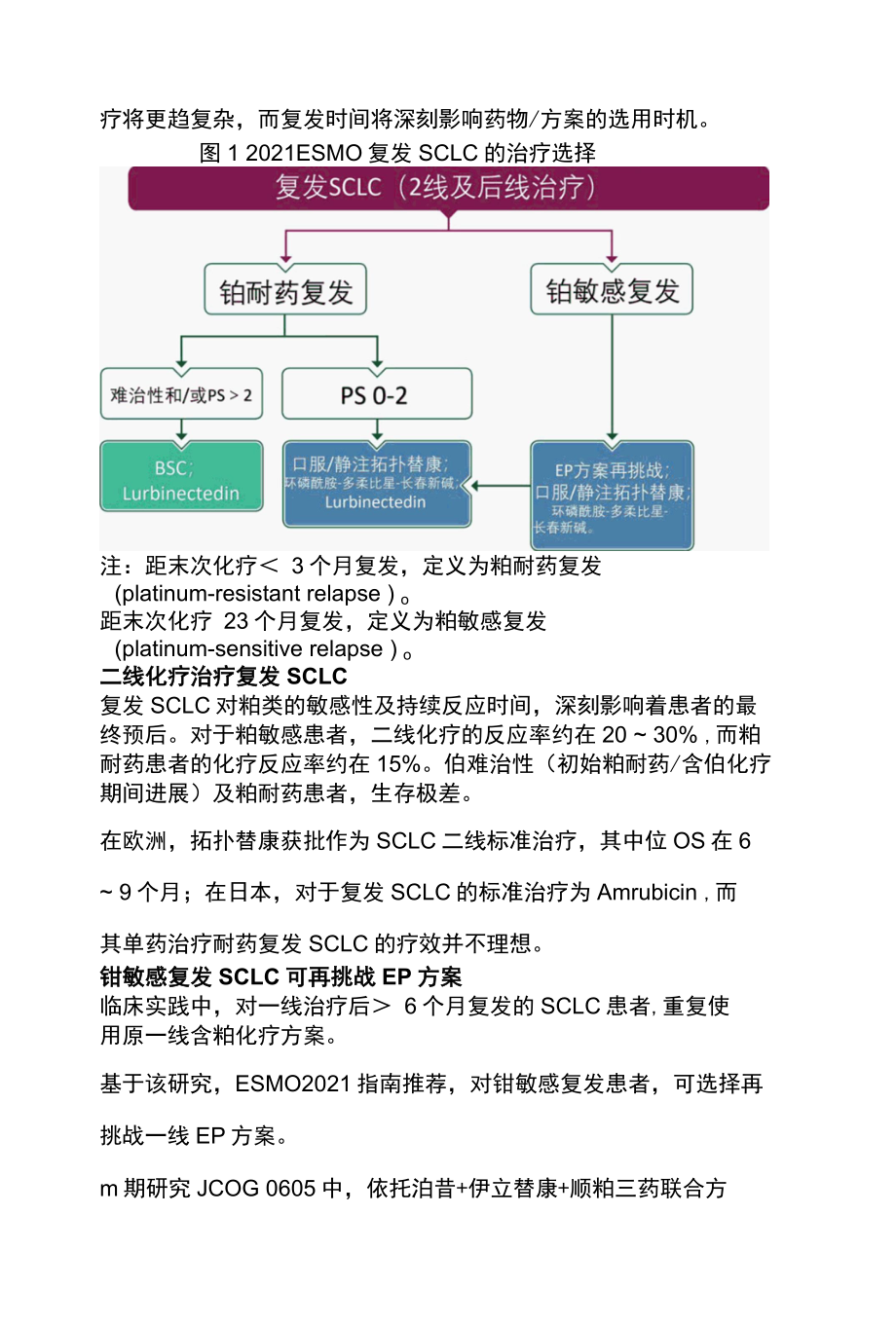 2022复发性小细胞肺癌用药和治疗进展全文.docx_第2页