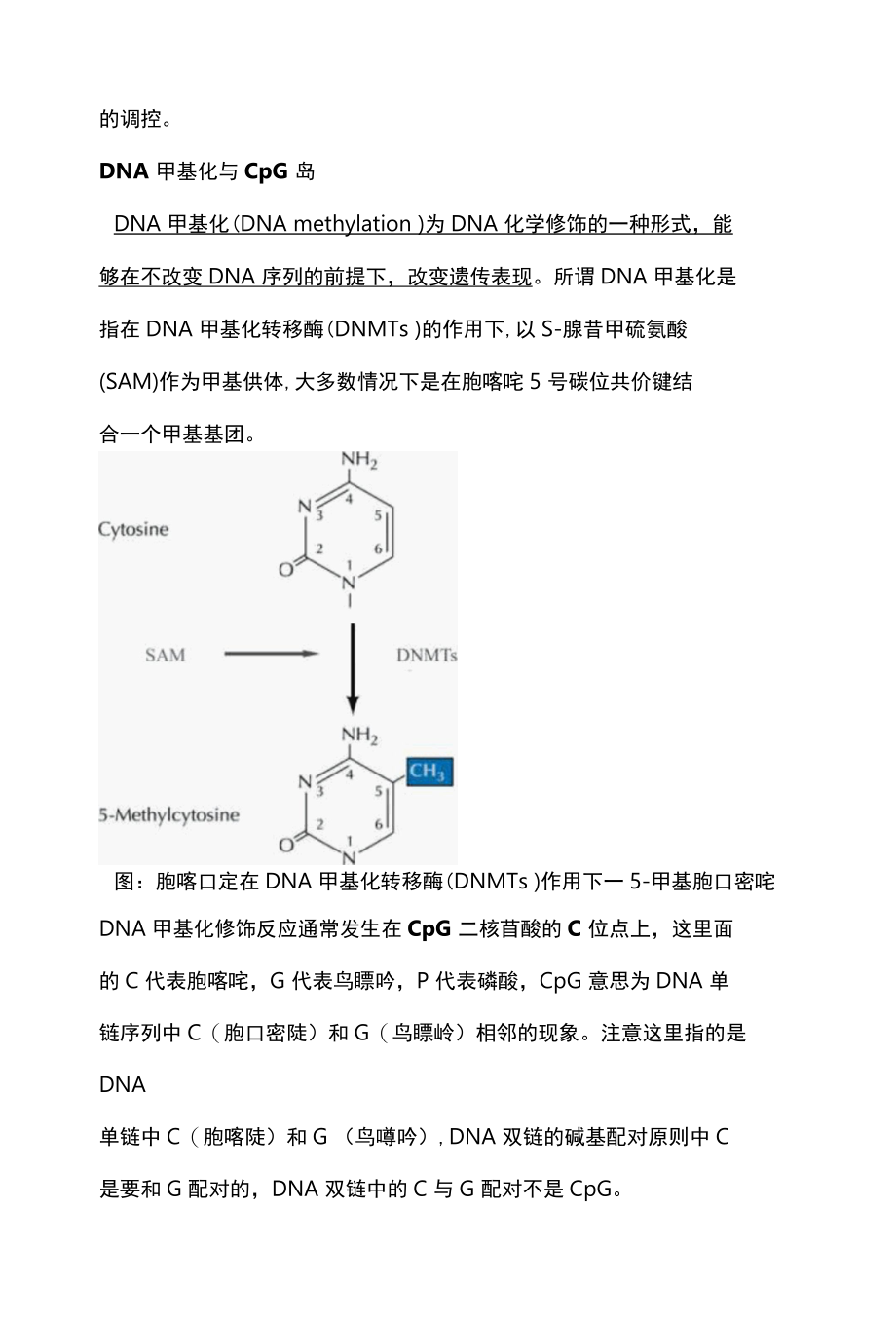 2022地西他滨和吉西他滨的区别全文.docx_第3页