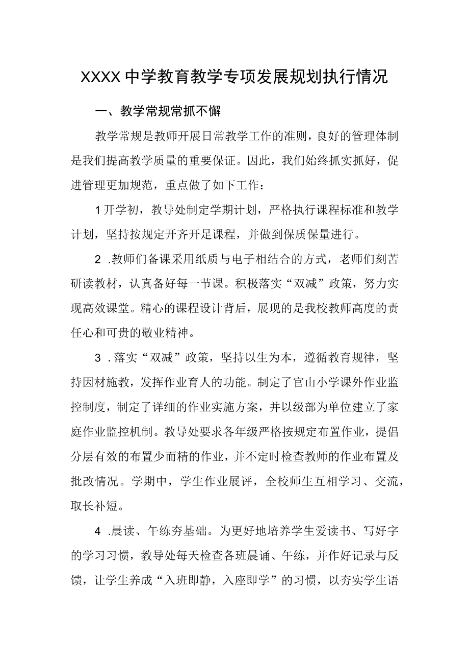 中学教育教学专项发展规划执行情况.docx_第1页