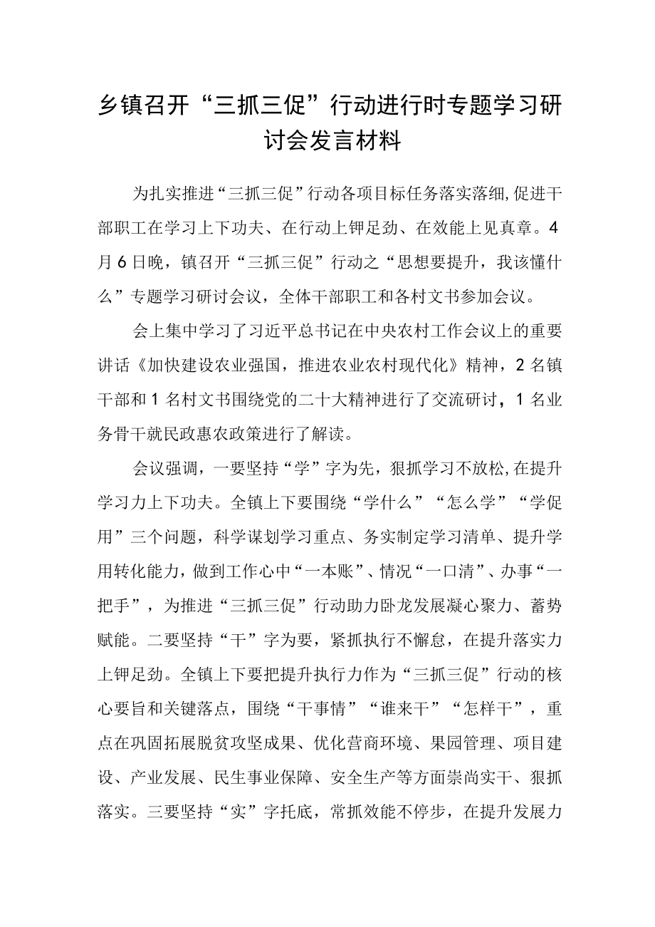 乡镇召开三抓三促行动进行时专题学习研讨会发言材料.docx_第1页