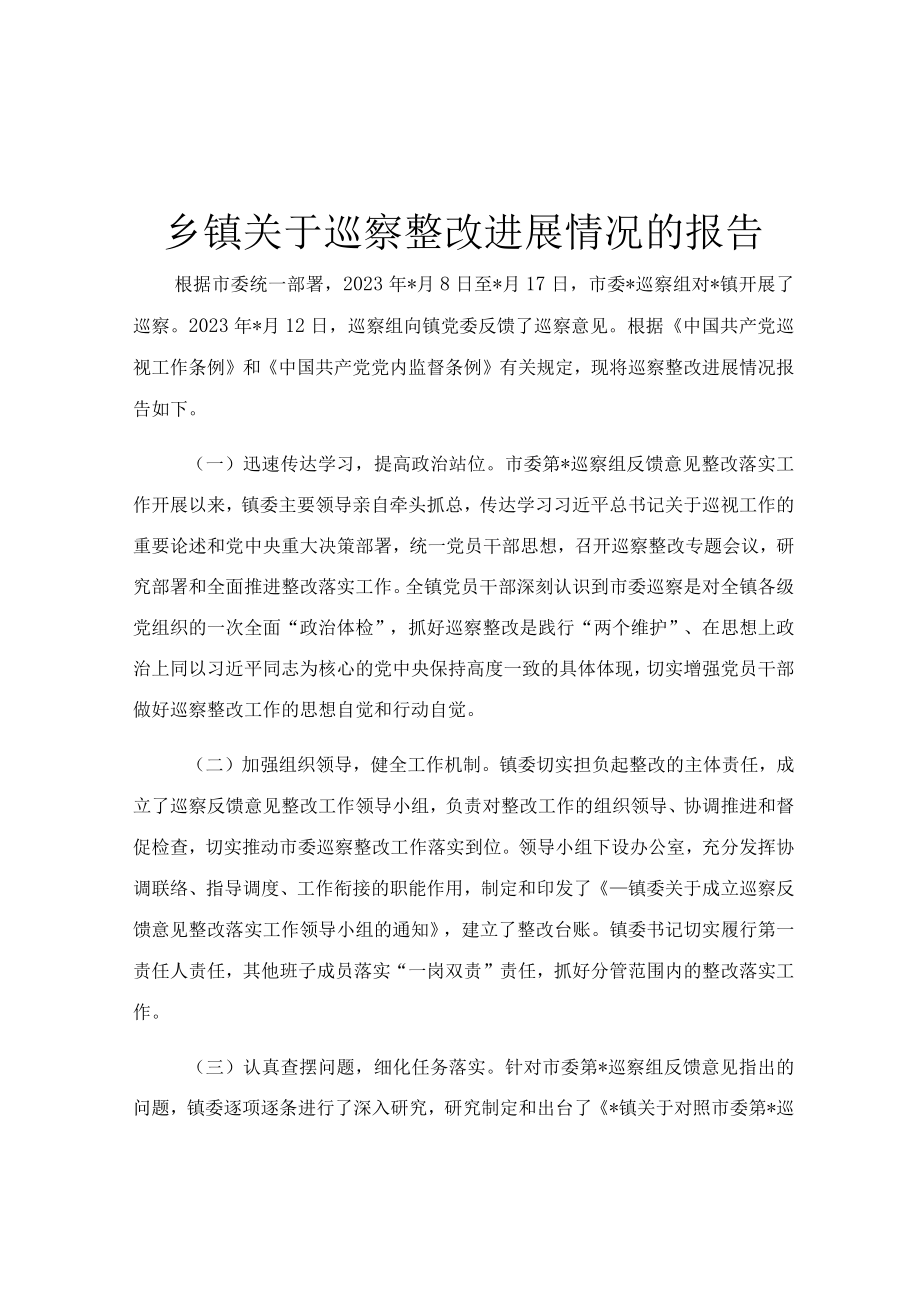 乡镇关于巡察整改进展情况的报告.docx_第1页