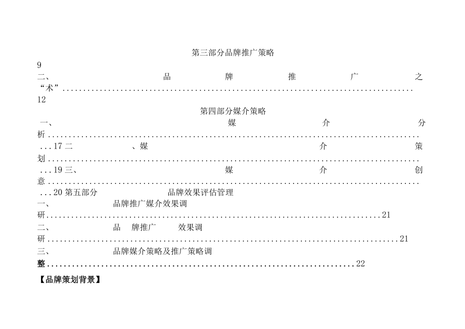 佐登妮丝品牌推广策略.docx_第3页