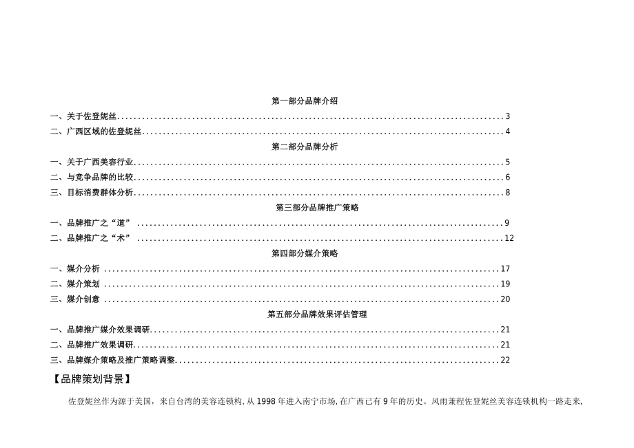 佐登妮丝品牌策略案.docx_第2页