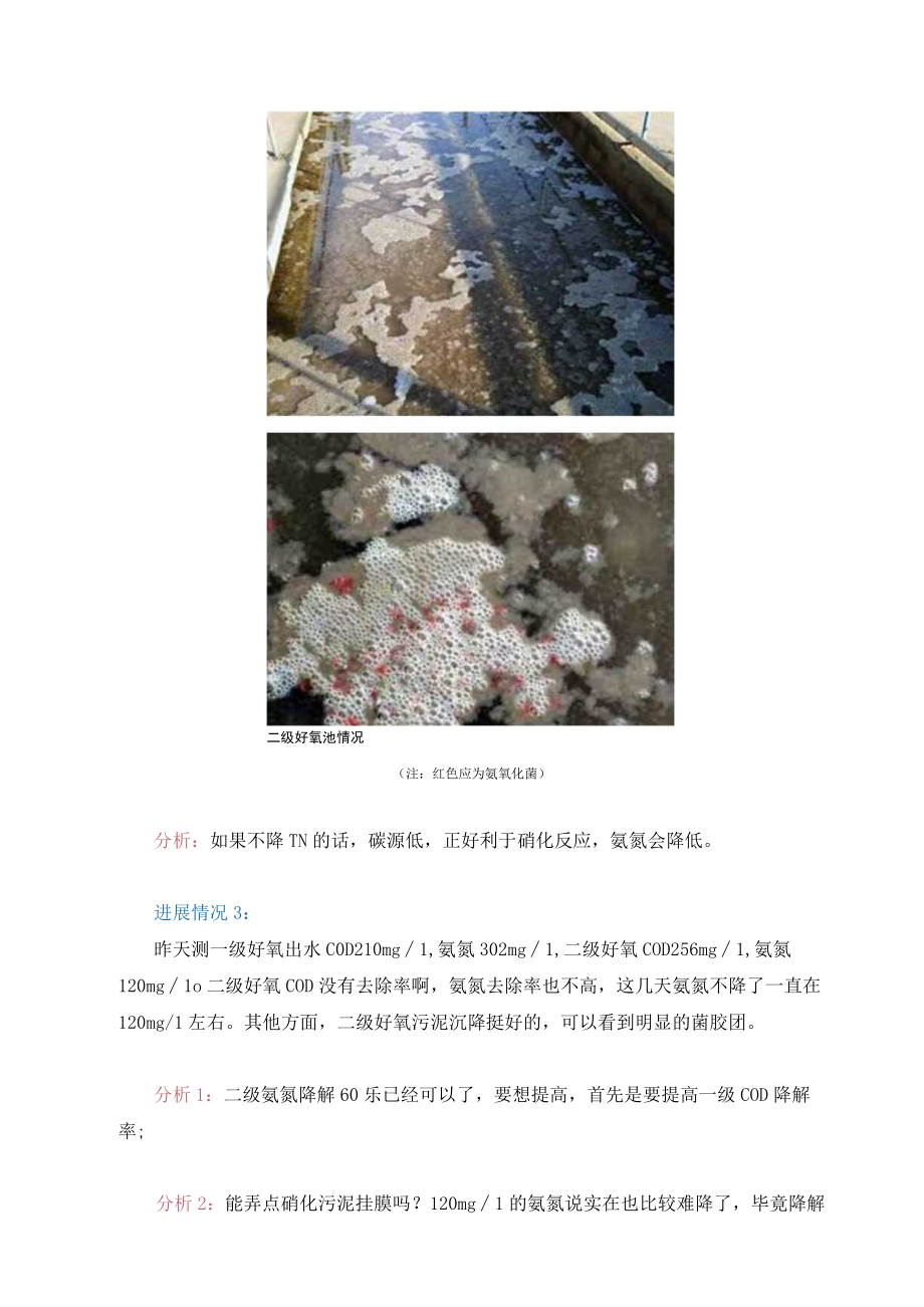 众多污师群力群策解决氨氮总氮问题.docx_第3页