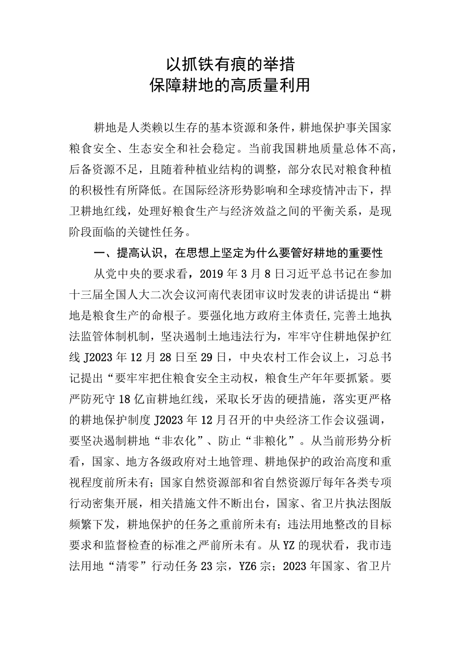 务虚会研讨发言材料：以抓铁有痕的举措保障耕地的高质量利用.docx_第1页