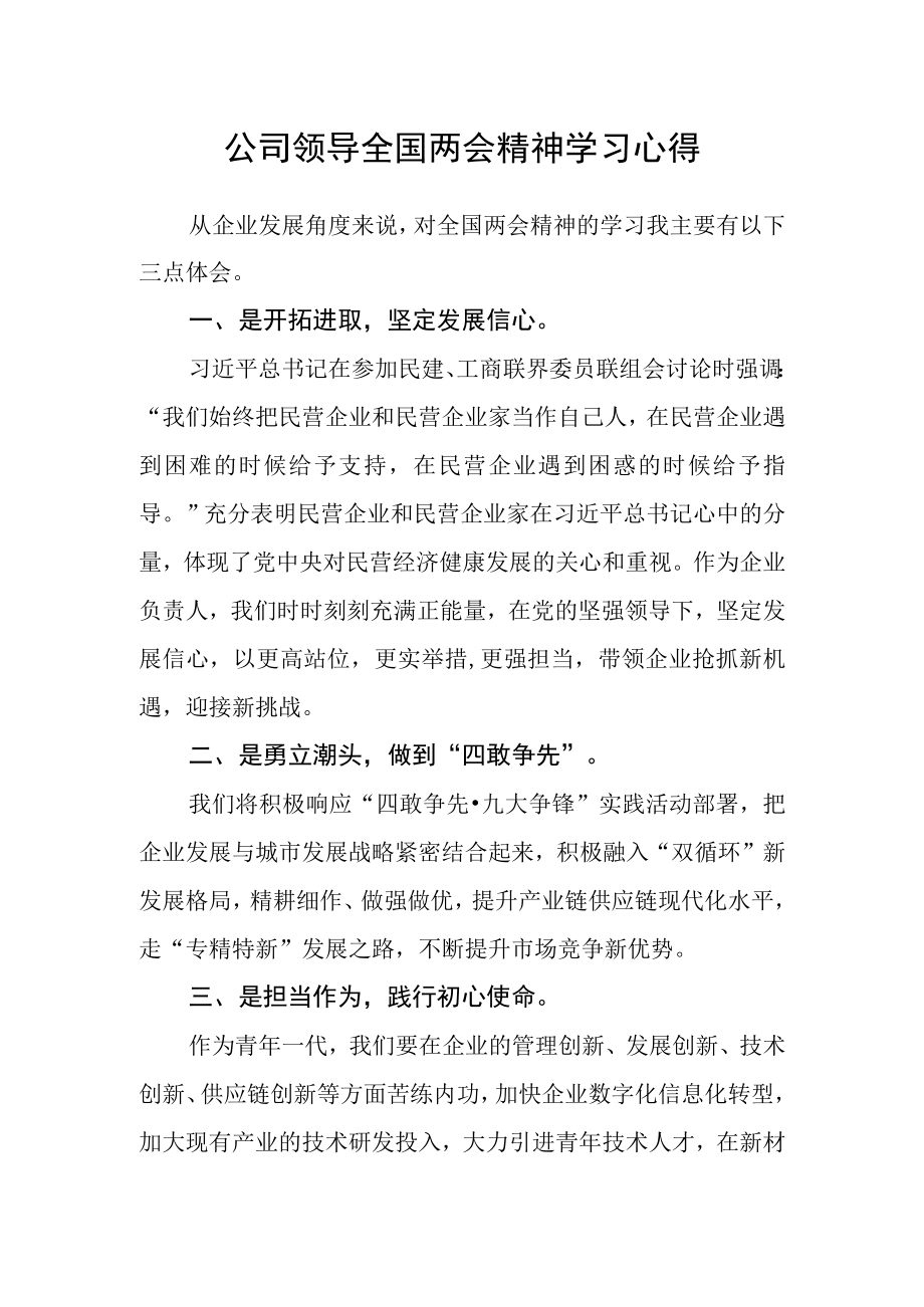 公司领导全国两会精神学习心得.docx_第1页