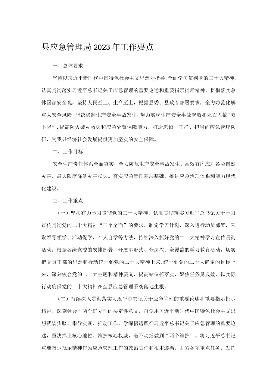 县应急管理局2023年工作要点.docx_第1页