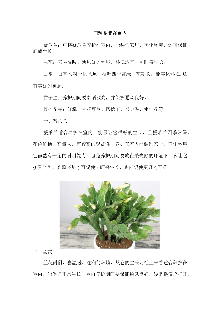 四种花养在室内.docx_第1页