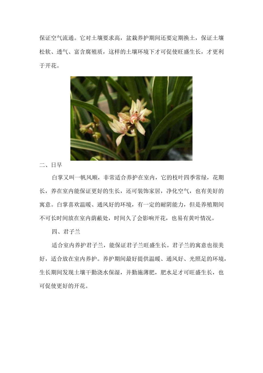 四种花养在室内.docx_第2页