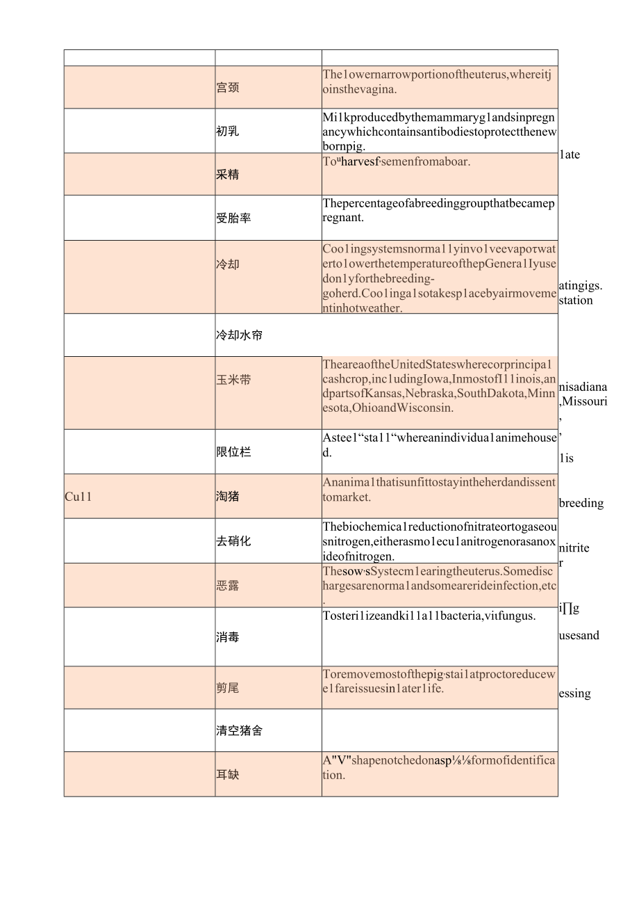 养猪术语中英对照.docx_第2页