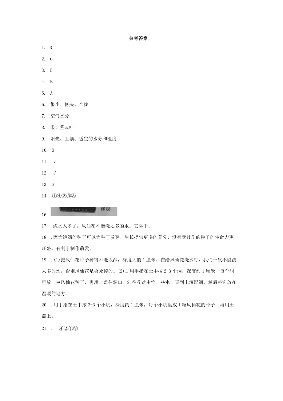 四年级科学下册12种植凤仙花 同步练习含答案公开课教案教学设计课件资料.docx_第3页