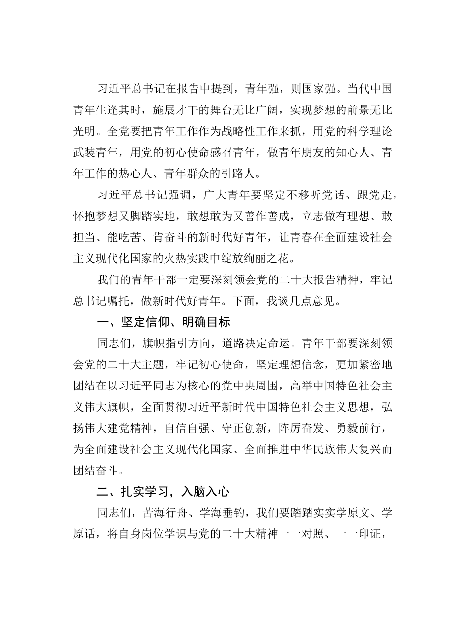 在青年理论小组学习二十大精神研讨会上的讲话提纲.docx_第2页