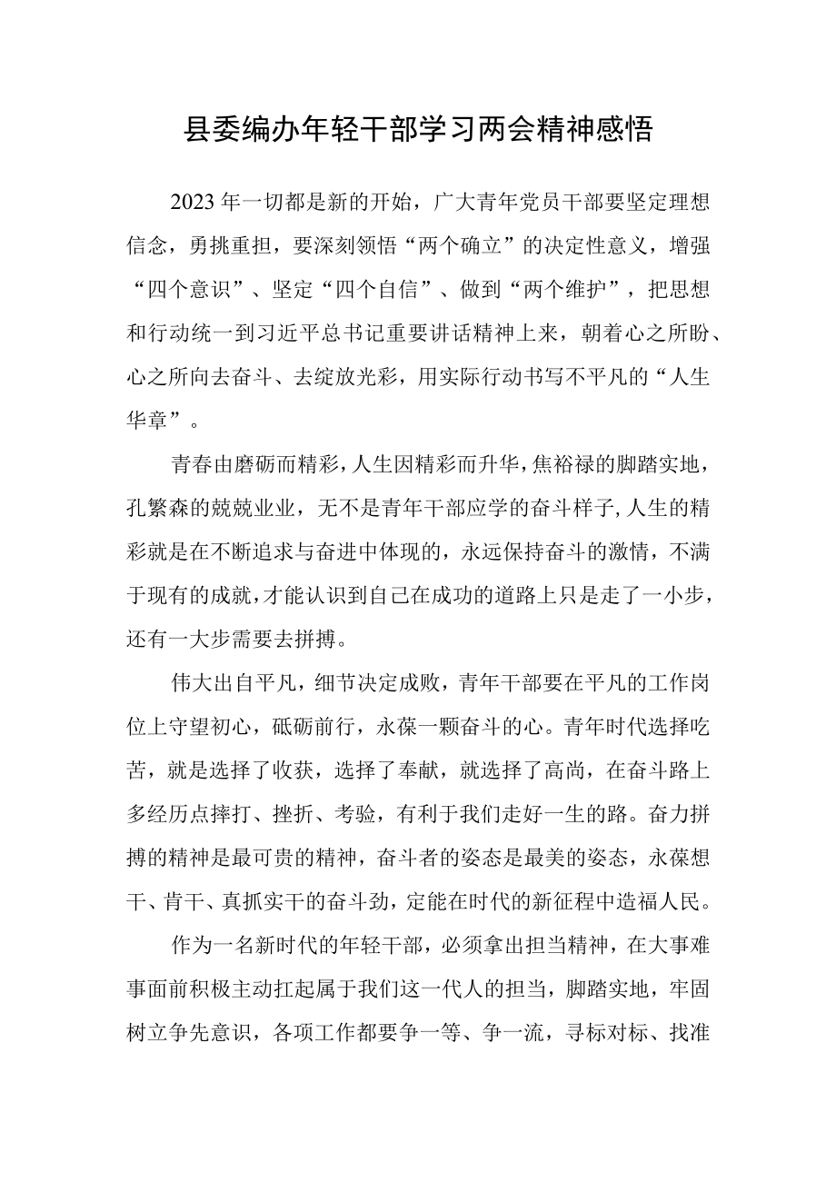 县委编办年轻干部学习两会精神感悟.docx_第1页