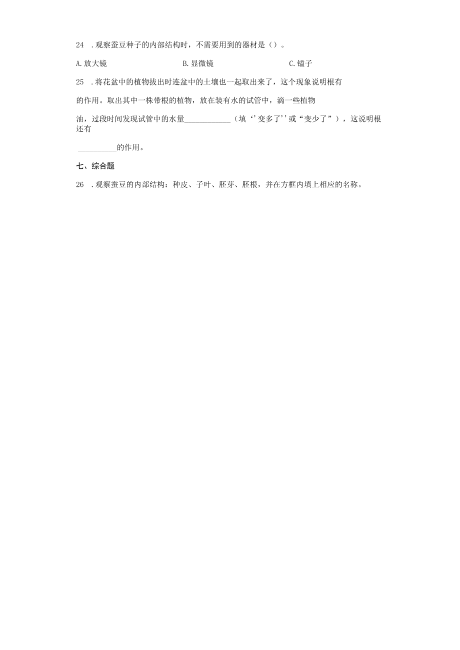 四年级下册 11种子里孕育着新生命 同步练习含答案公开课教案教学设计课件资料.docx_第3页