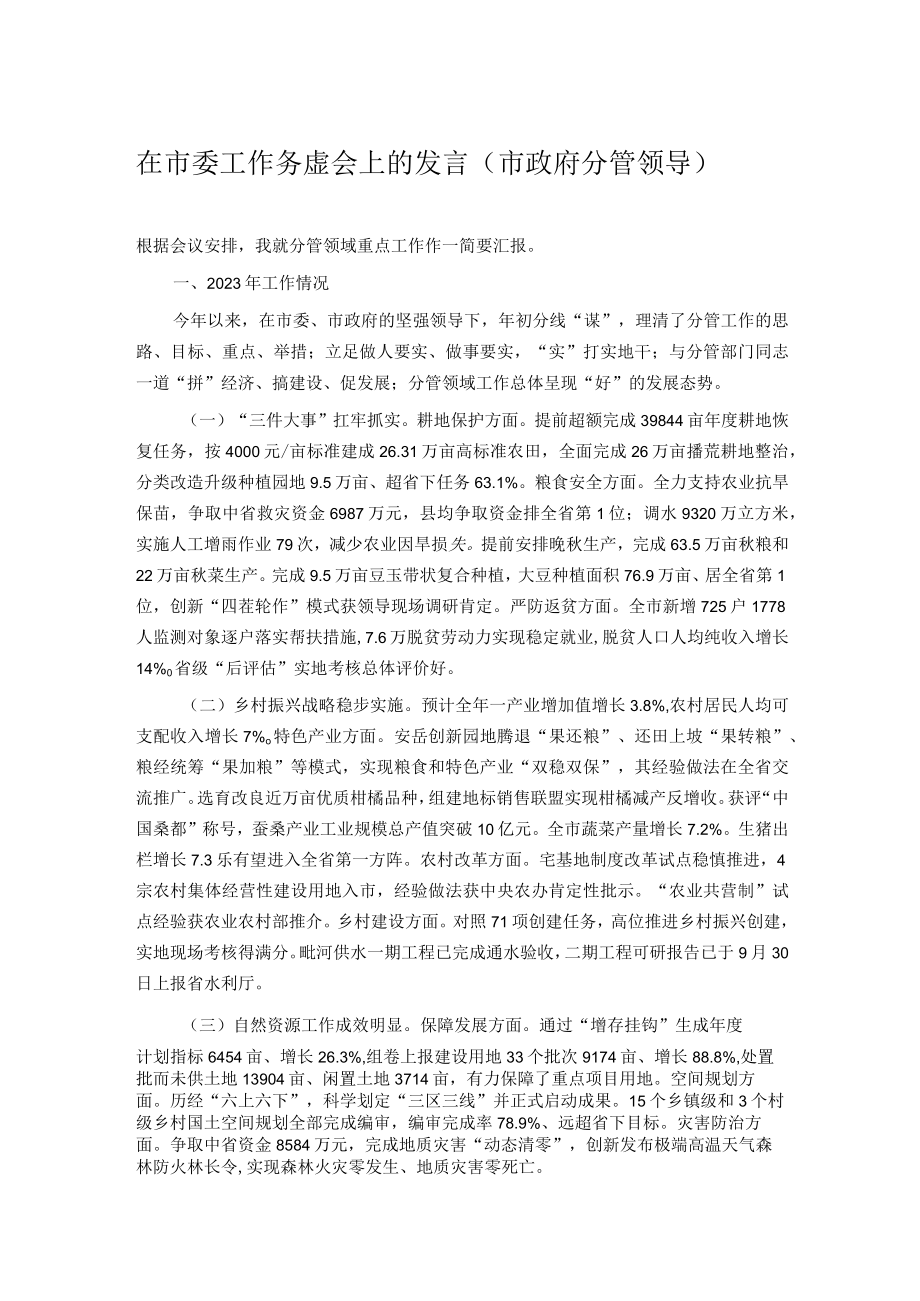 在市委工作务虚会上的发言市政府分管领导.docx_第1页