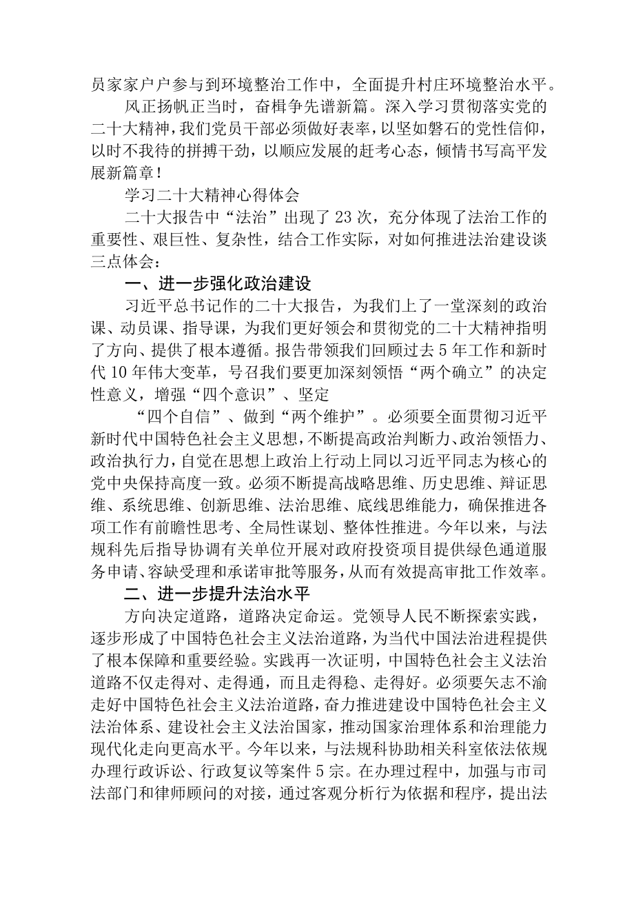 学习领会二十大会议精神研讨发言精选三篇.docx_第2页