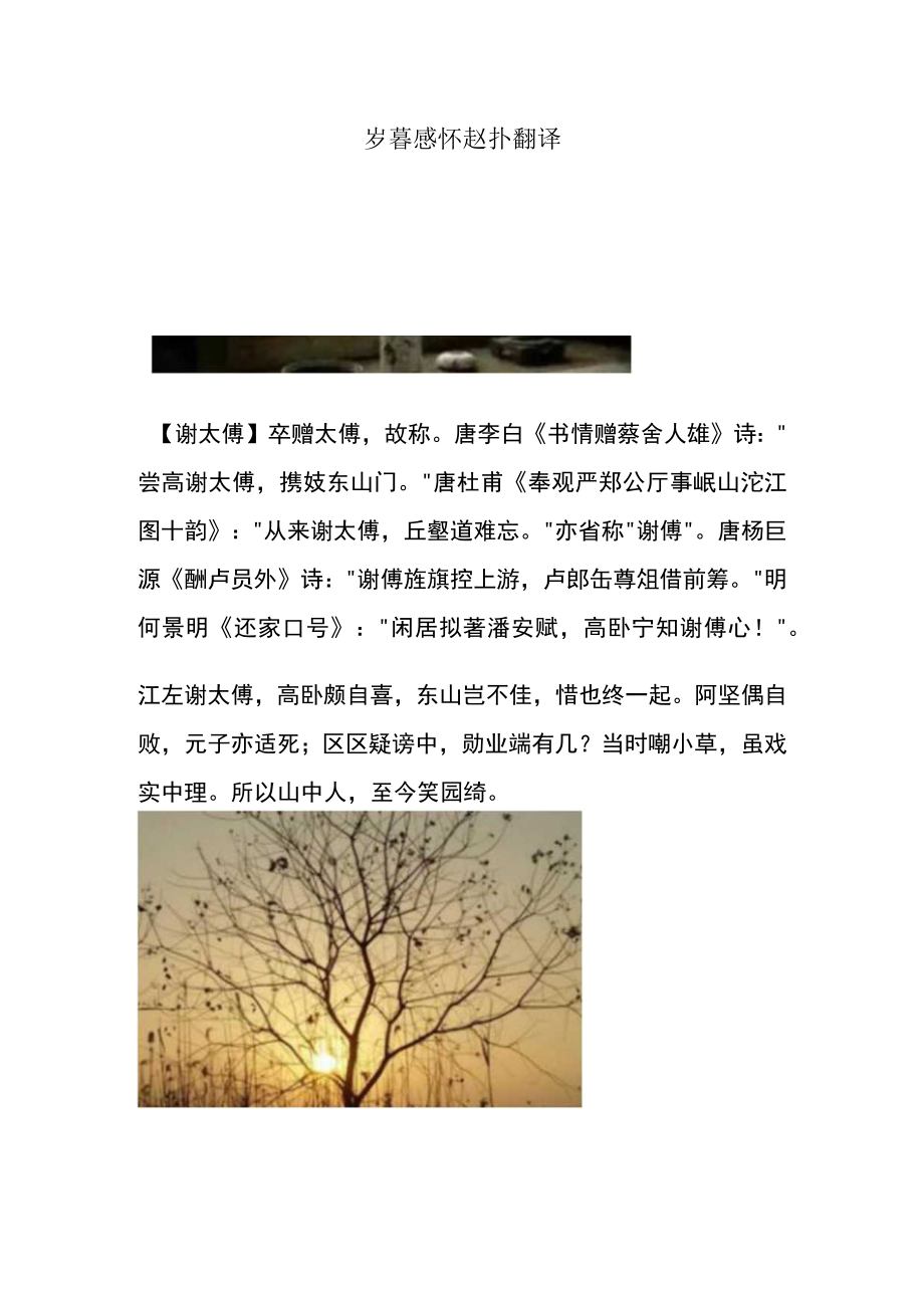 岁暮感怀赵抃翻译.docx_第1页