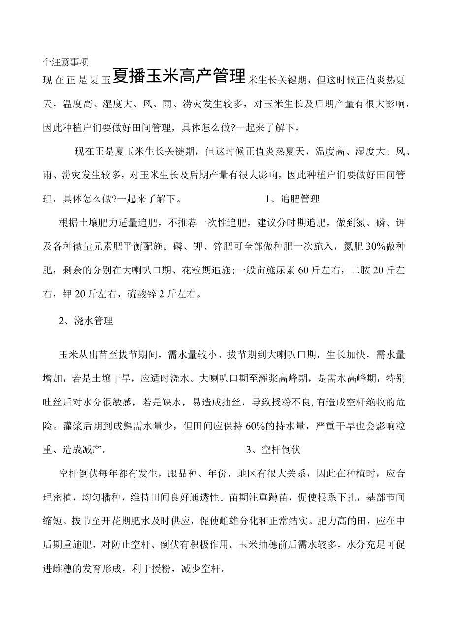 夏播玉米高产管理四个注意事项.docx_第1页