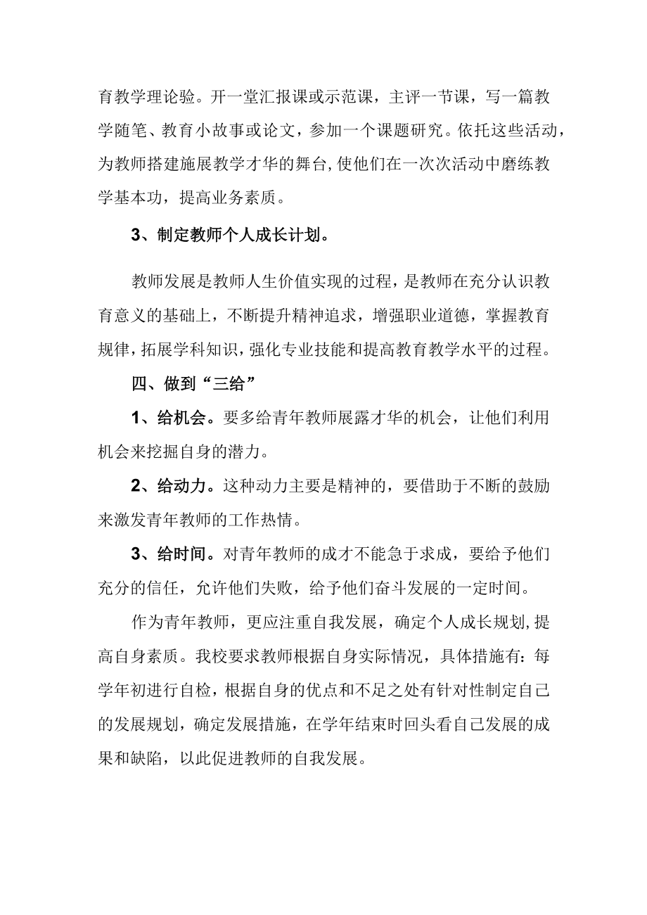 小学青年教师成长专项发展规划.docx_第2页