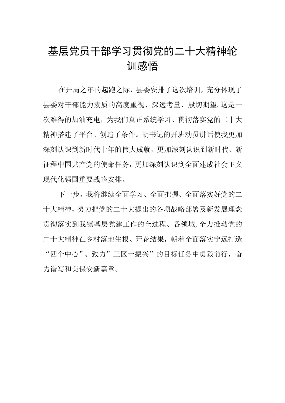 基层党员干部学习贯彻党的二十大精神轮训感悟.docx_第1页