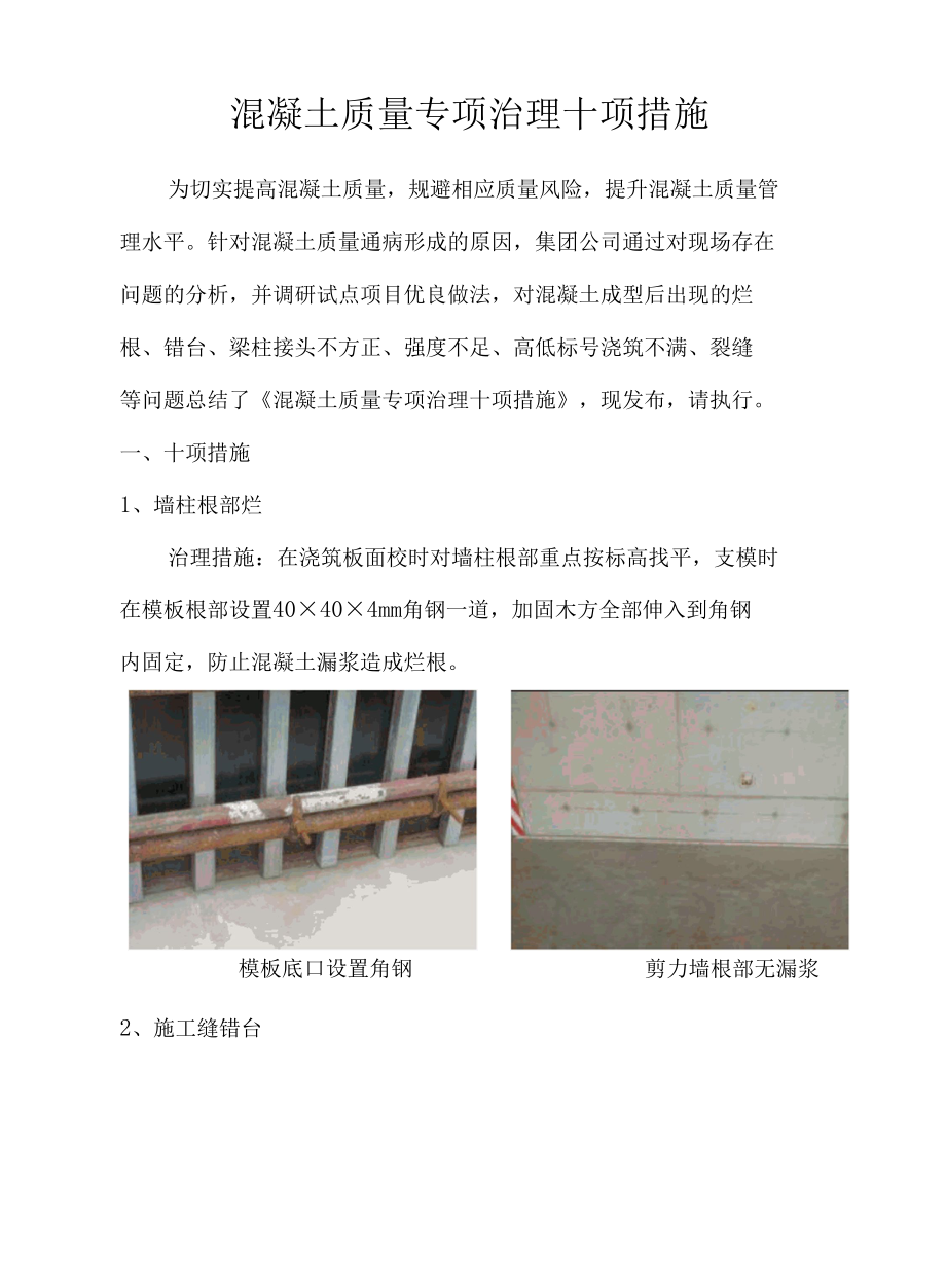 混凝土质量专项治理十项措施.docx_第1页