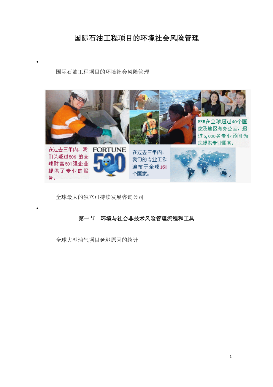 2021年咨询工程师继续教育讲义-国际石油工程项目的环境社会风险管理.doc_第1页