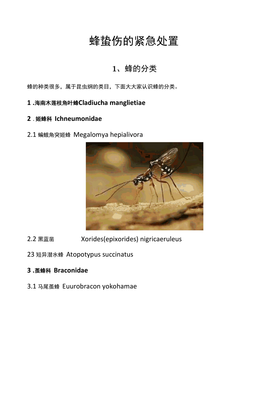 蜂蛰伤的紧急处置.docx_第1页