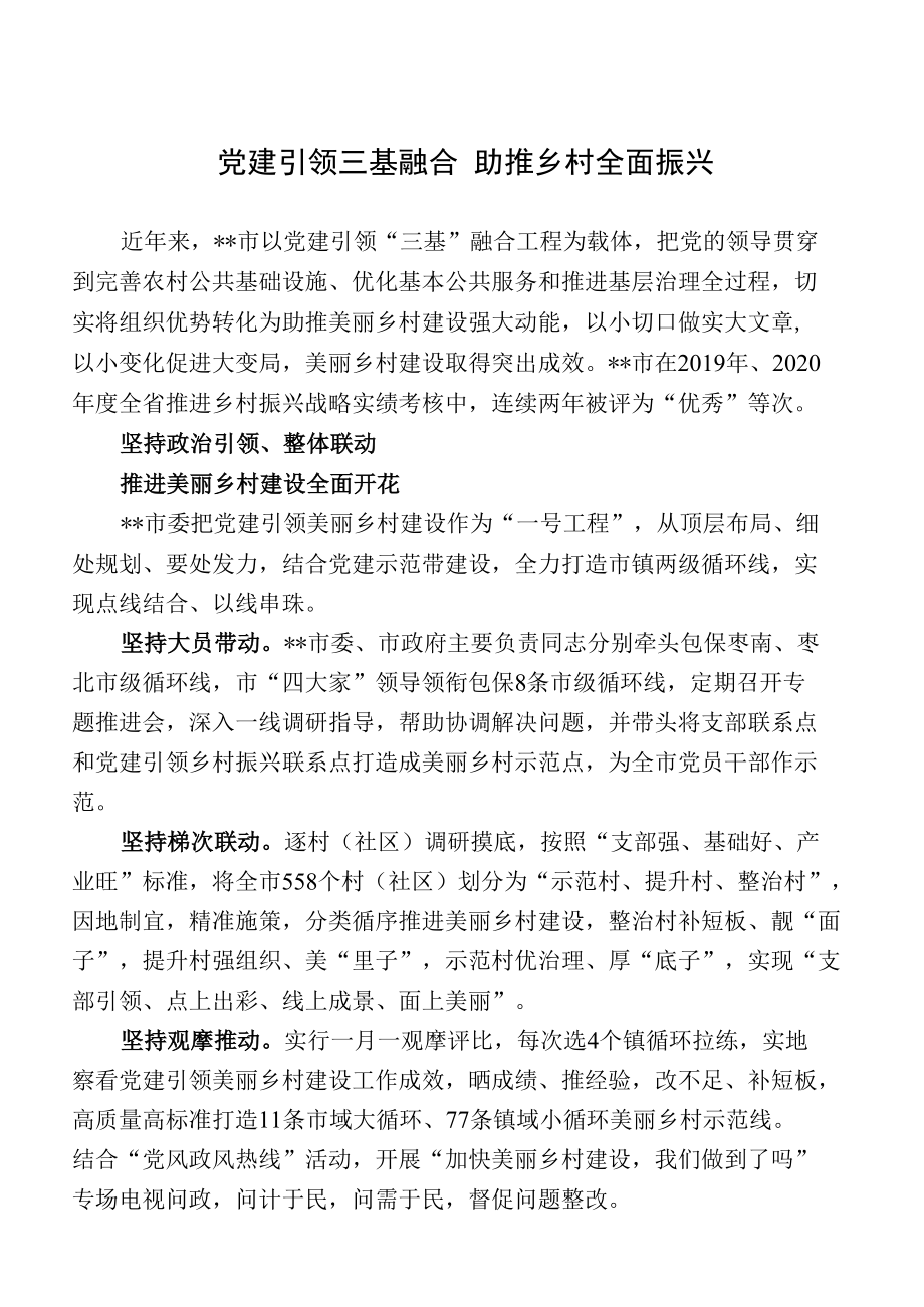 党建引领三基融合 助推乡村全面振兴.docx_第1页