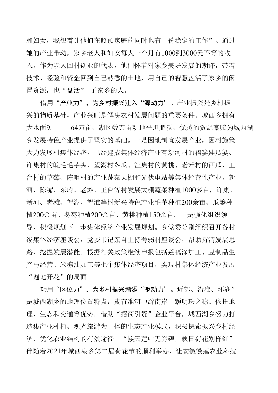 乡村振兴经验交流材料.docx_第2页