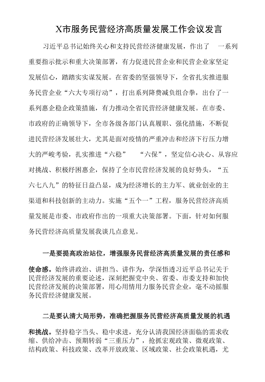 X市服务民营经济高质量发展工作会议发言.docx_第1页