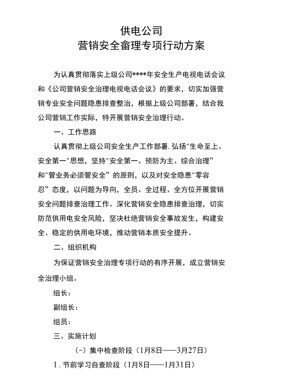 供电公司营销安全治理专项行动方案.docx_第1页