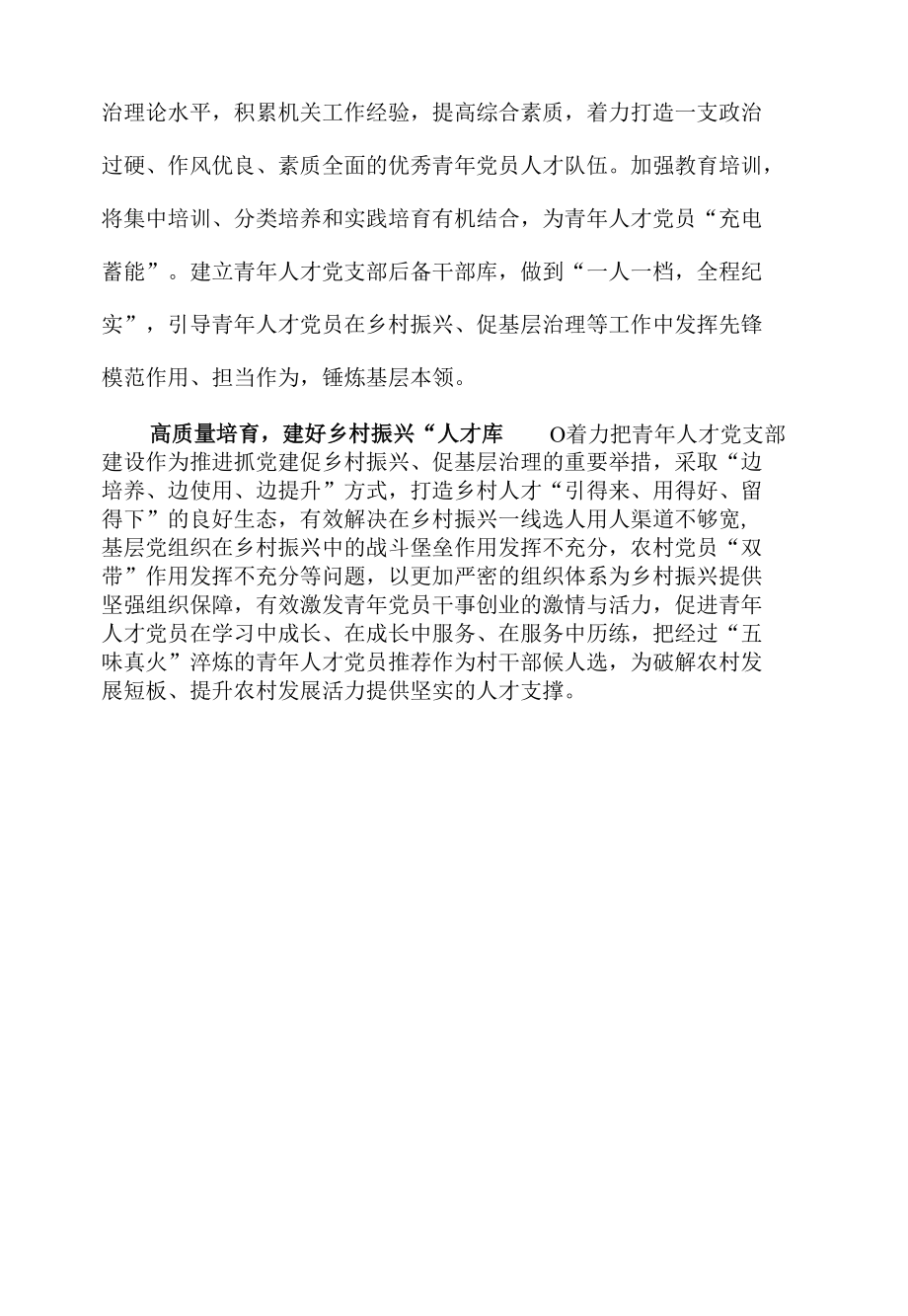 青年人才党支部建设经验材料.docx_第2页