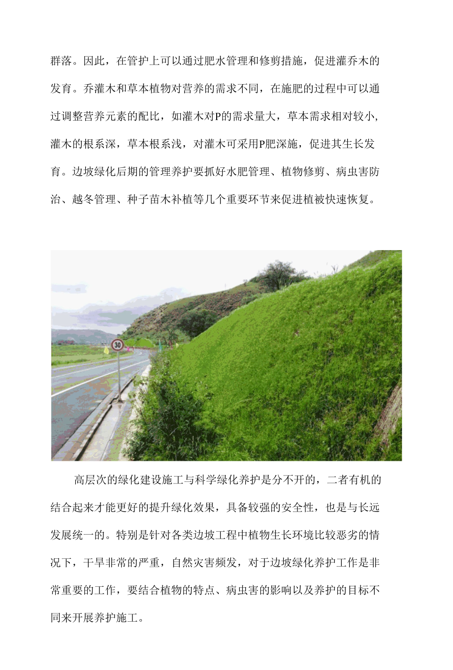 边坡绿化的养护管理措施.docx_第2页