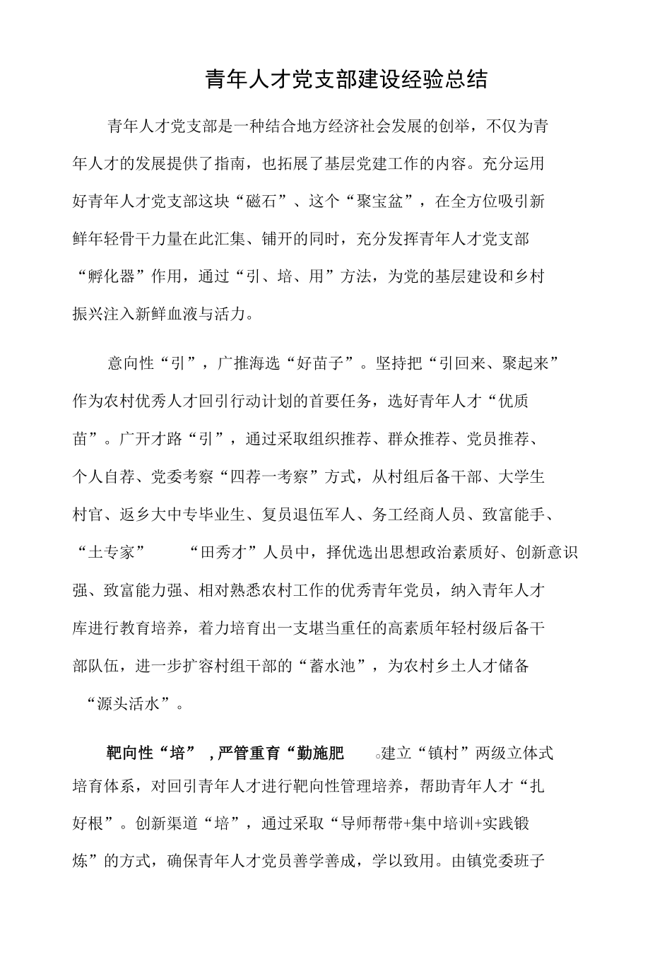 青年人才党支部建设经验总结.docx_第1页