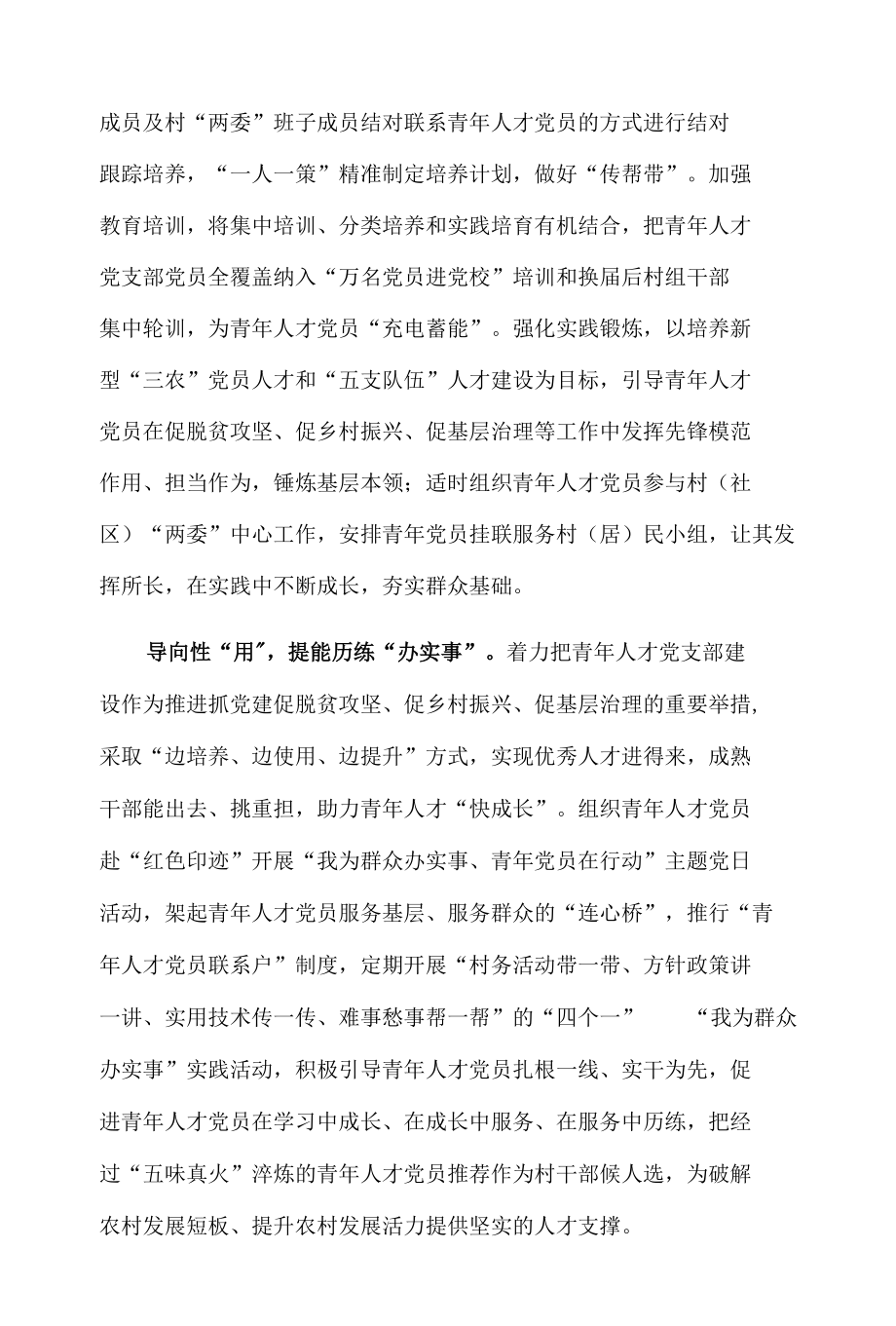 青年人才党支部建设经验总结.docx_第2页