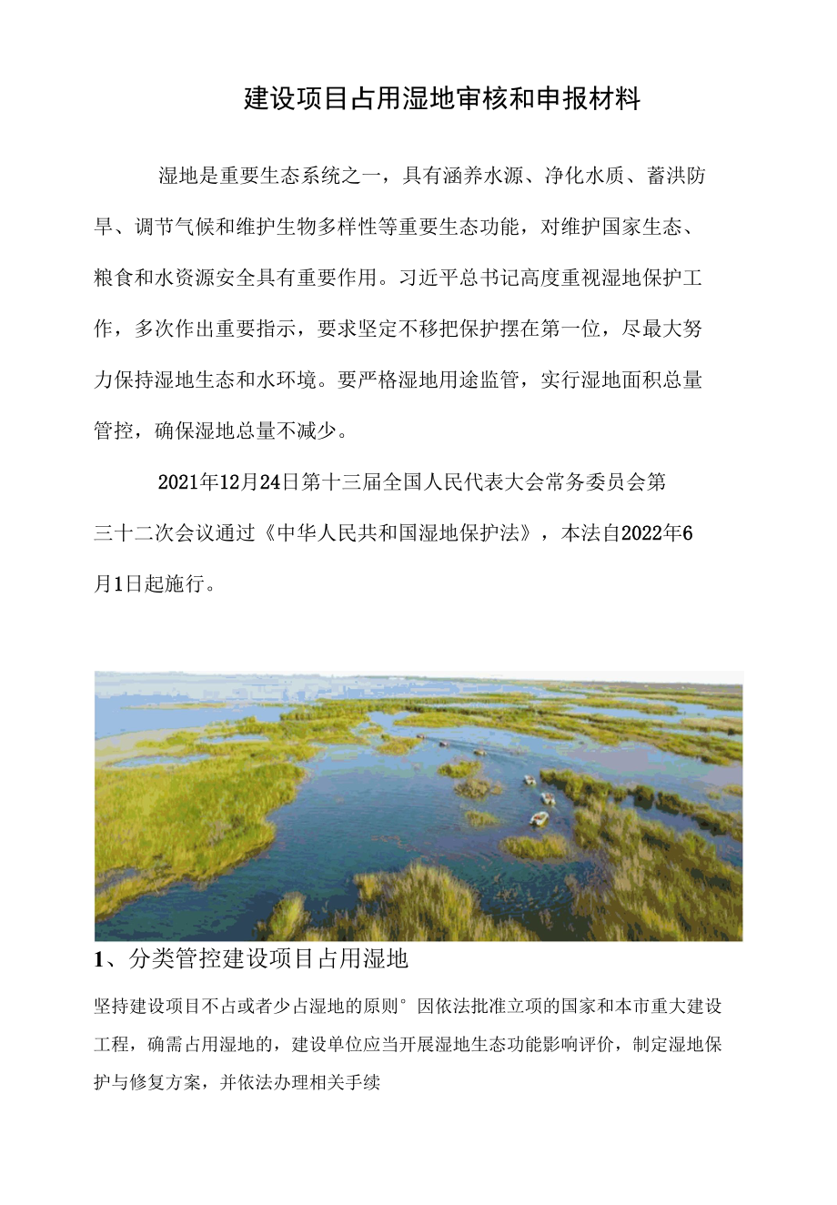 建设项目占用湿地审核和申报材料.docx_第1页