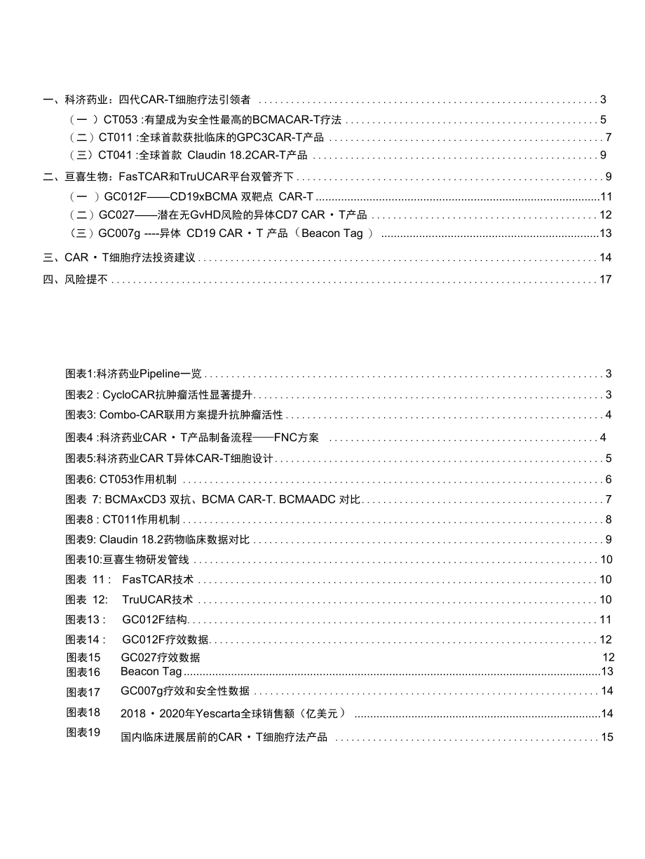 国内CAR~T细胞疗法梳理及投资建议.docx_第1页