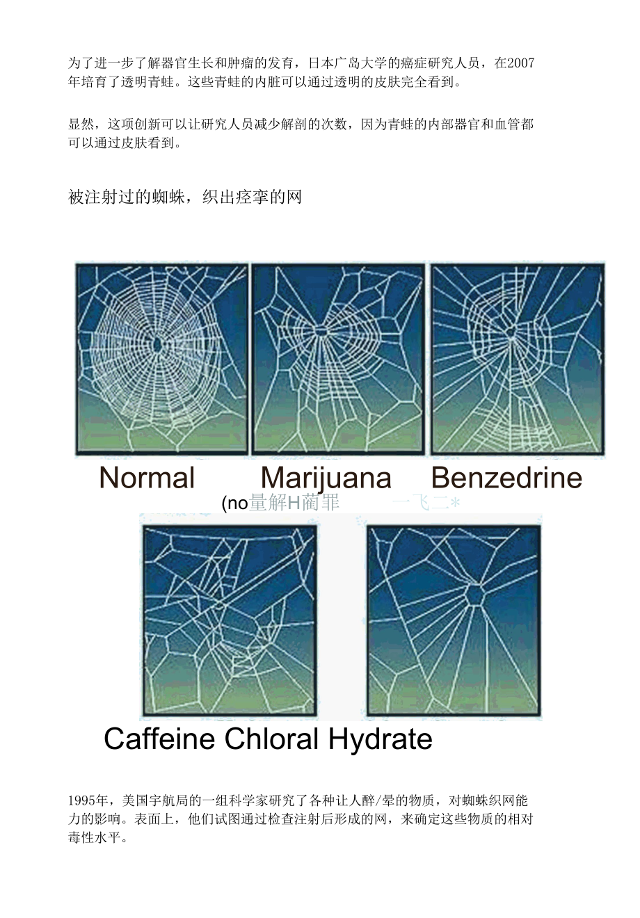 17个最疯狂动物实验.docx_第2页