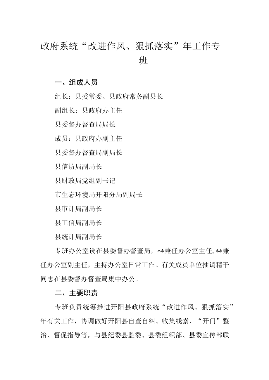 政府系统改进作风狠抓落实年工作专班.docx_第1页