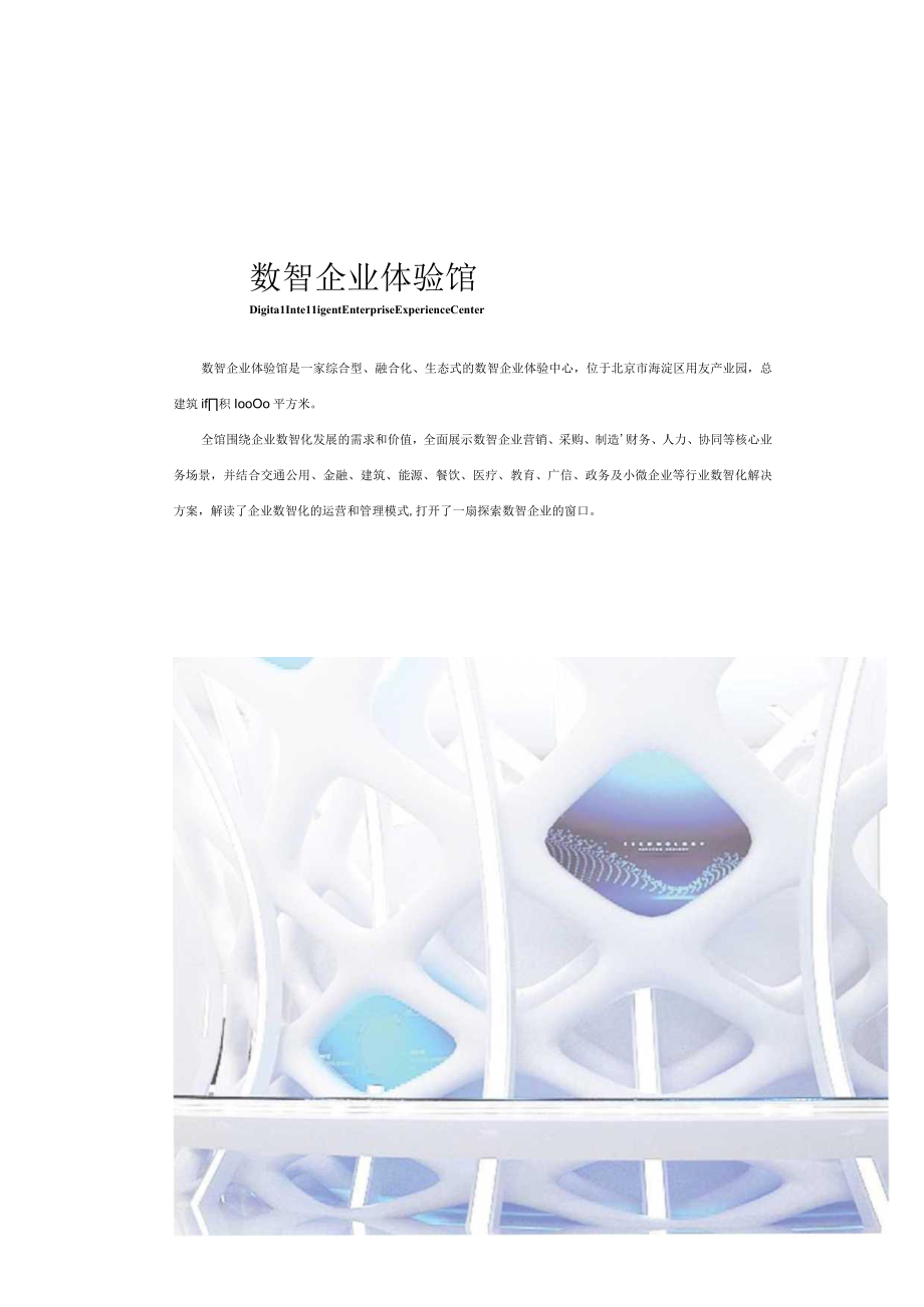 数智创未来商业创新案例白皮书.docx_第1页