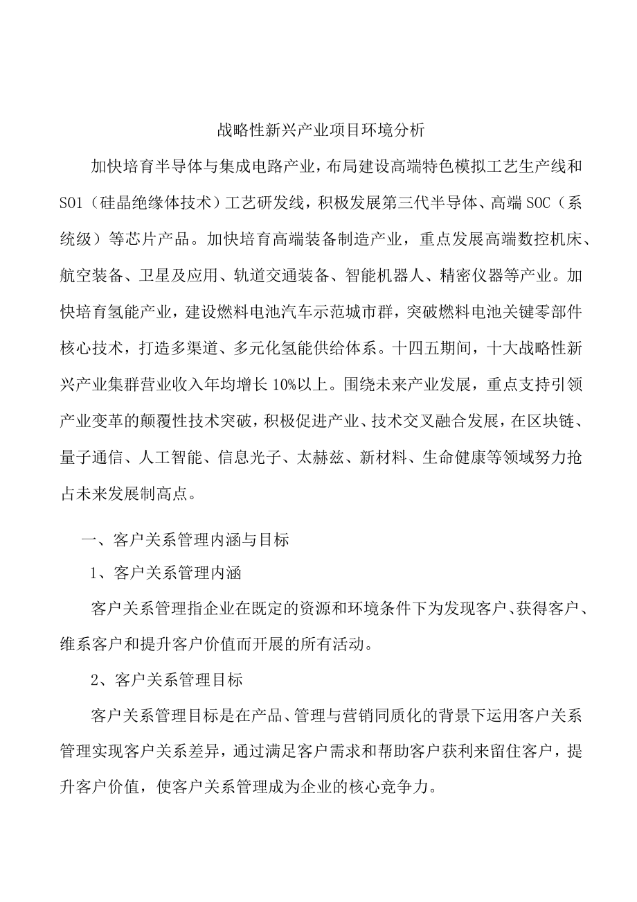 战略性新兴产业项目环境分析.docx_第1页