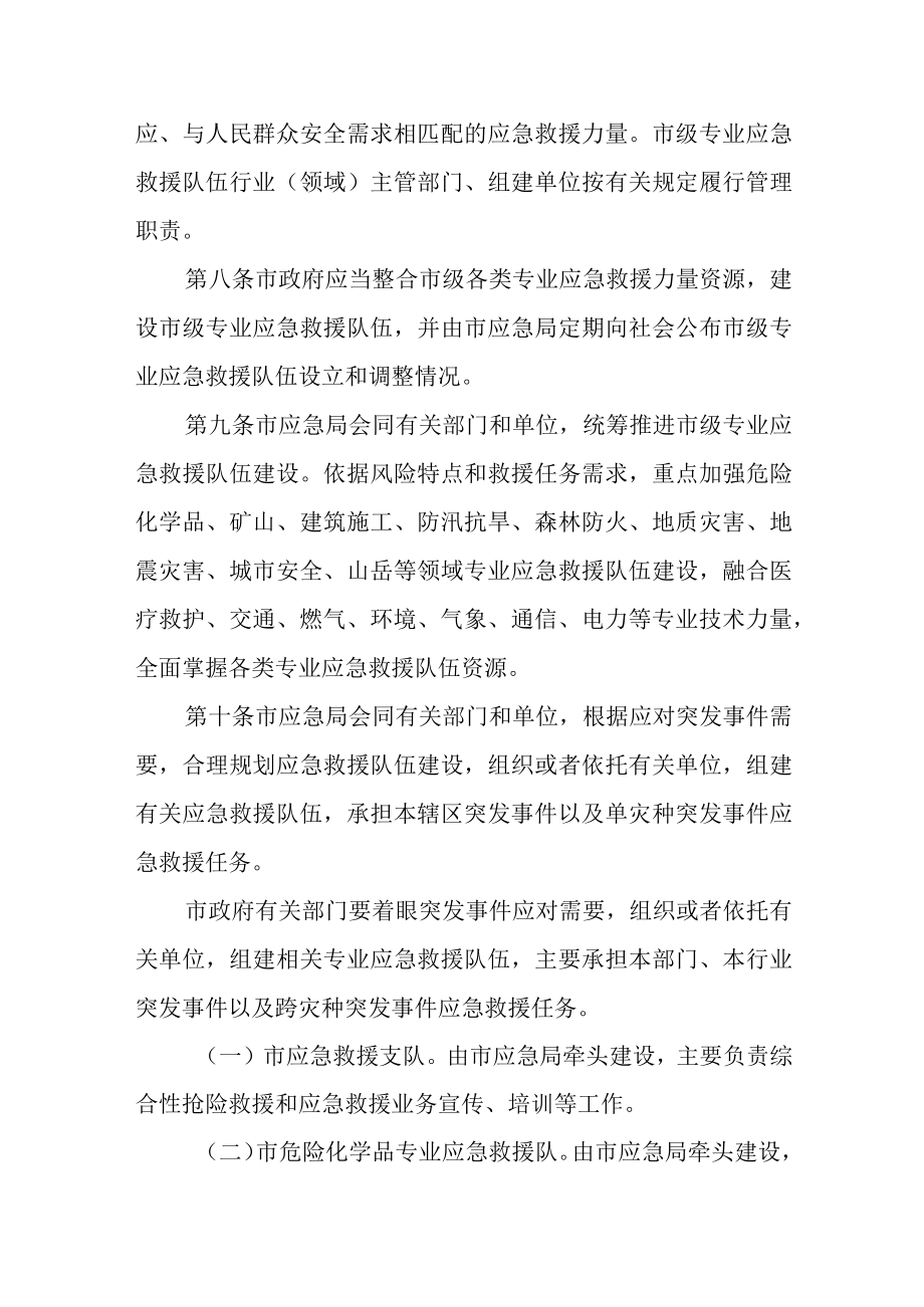 市级专业应急救援队伍建设管理办法.docx_第3页