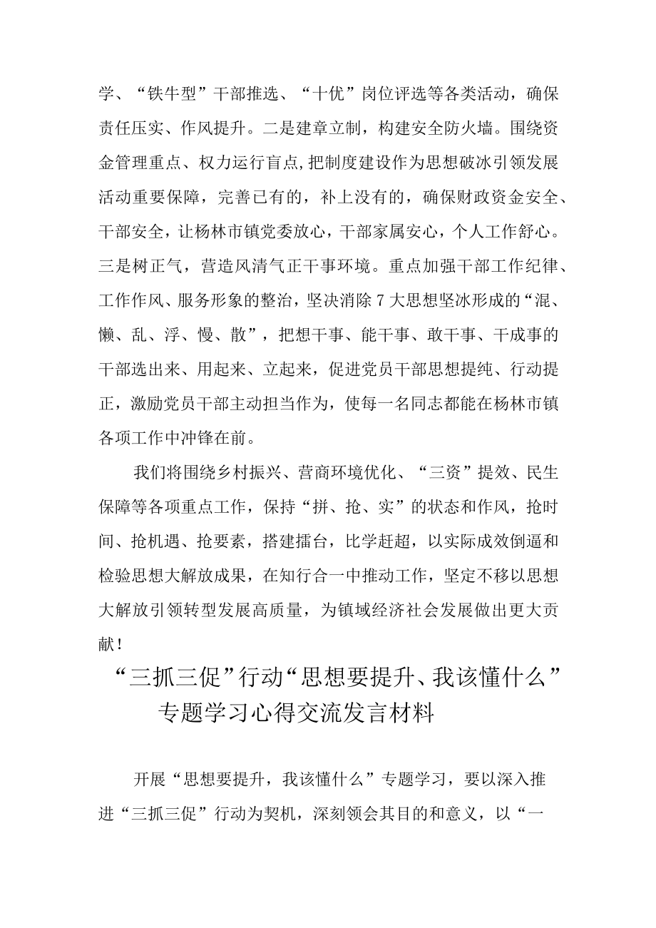 2023年三抓三促行动思想要提升我该懂什么专题学习心得交流发言材料 共五篇.docx_第3页