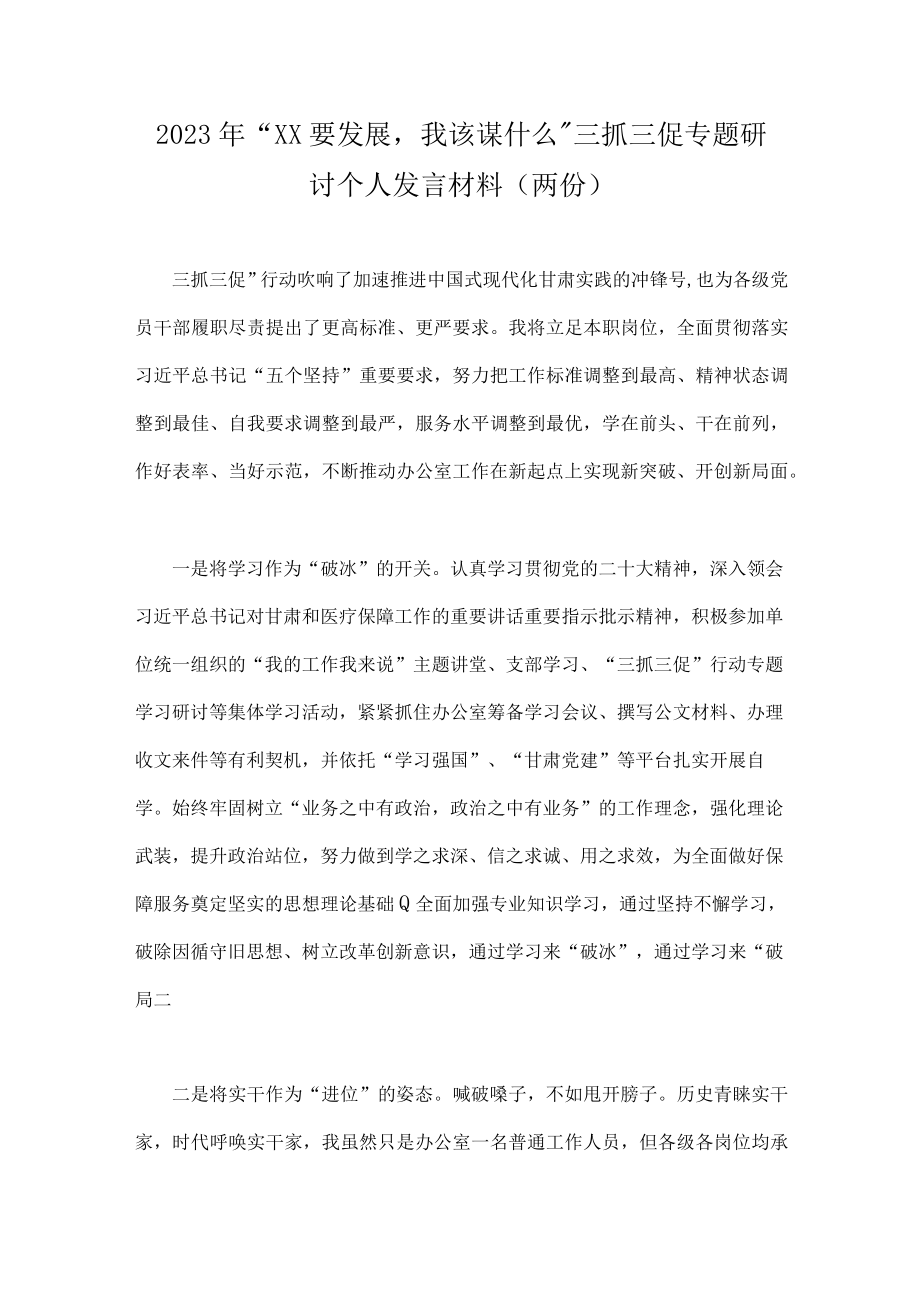 2023年XX要发展我该谋什么三抓三促专题研讨个人发言材料(两份).docx_第1页