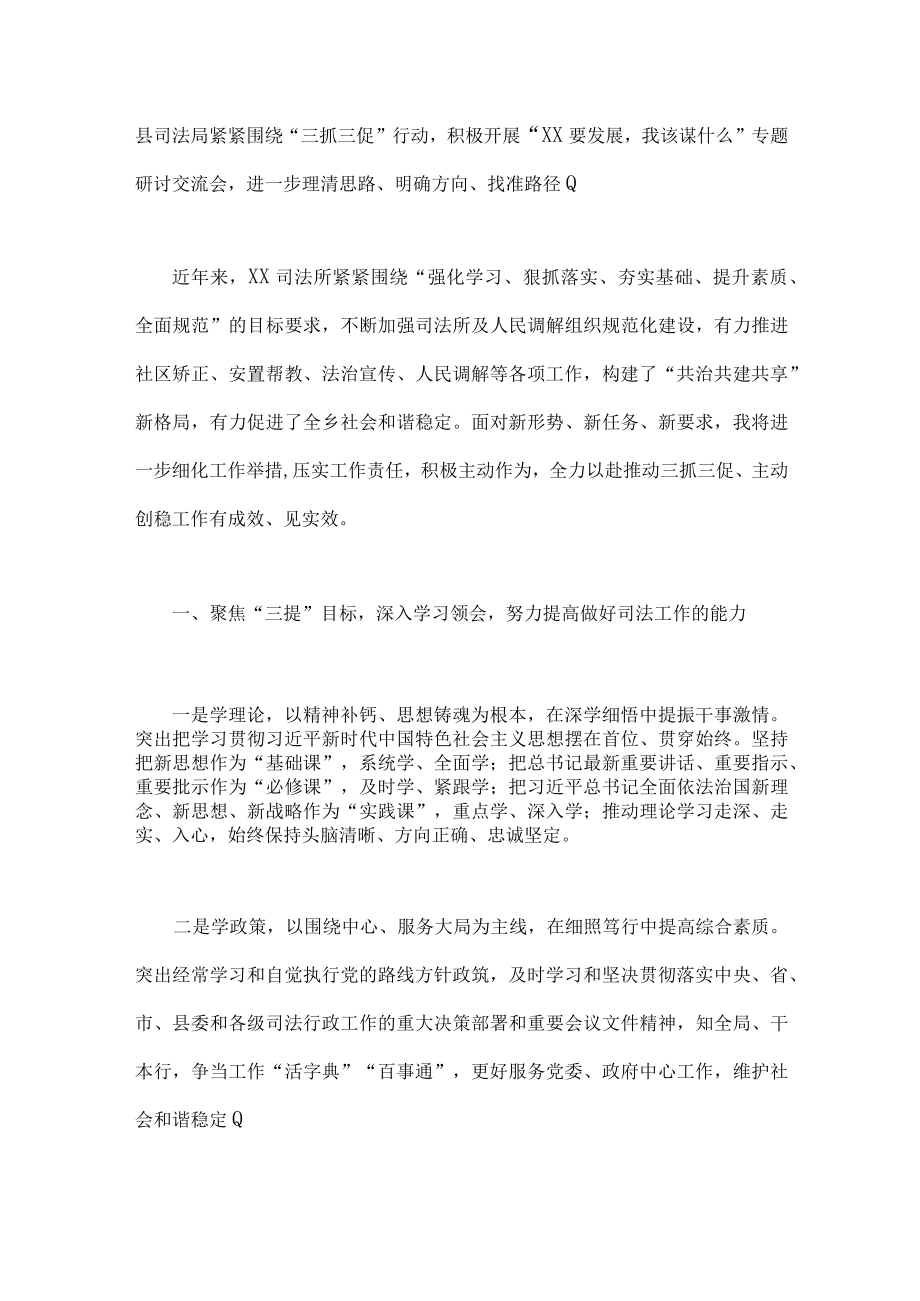 2023年XX要发展我该谋什么三抓三促专题研讨个人发言材料(两份).docx_第3页