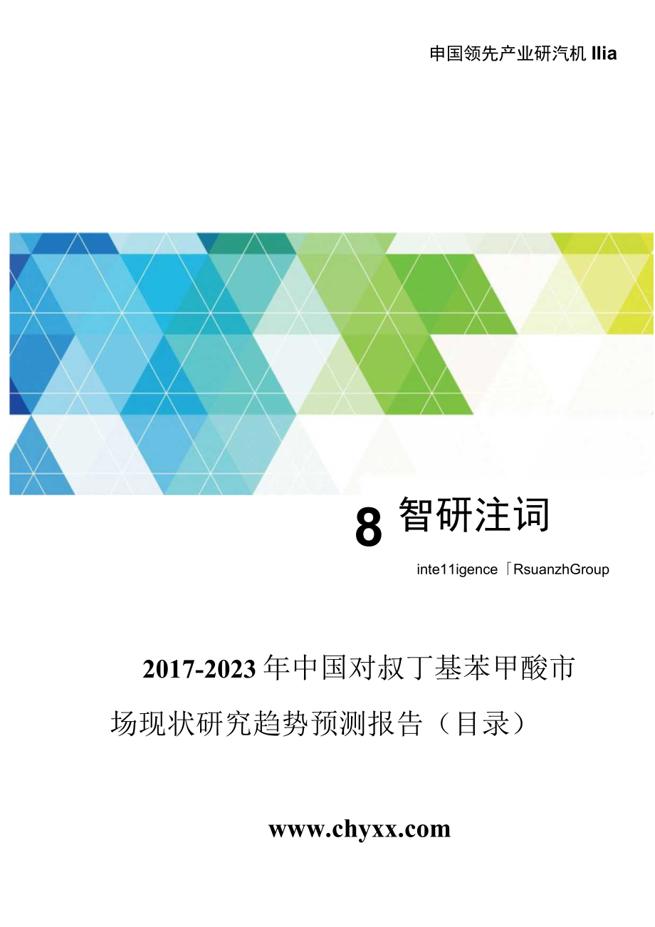 20172023年中国对叔丁基苯甲酸市场现状研究分析报告(目录).docx_第1页